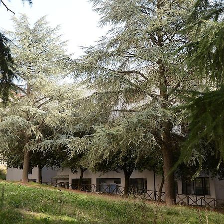 B&B Europa Potenza Zewnętrze zdjęcie